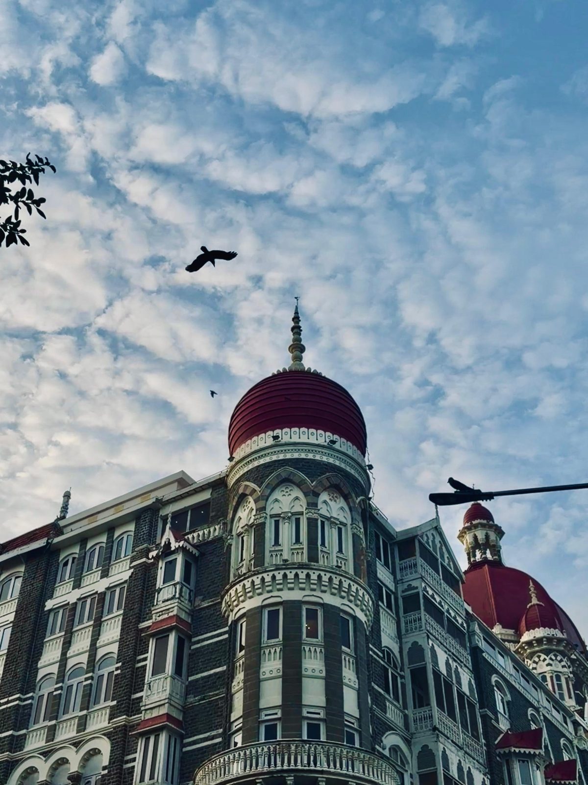 Ornate heritage building with birds overhead