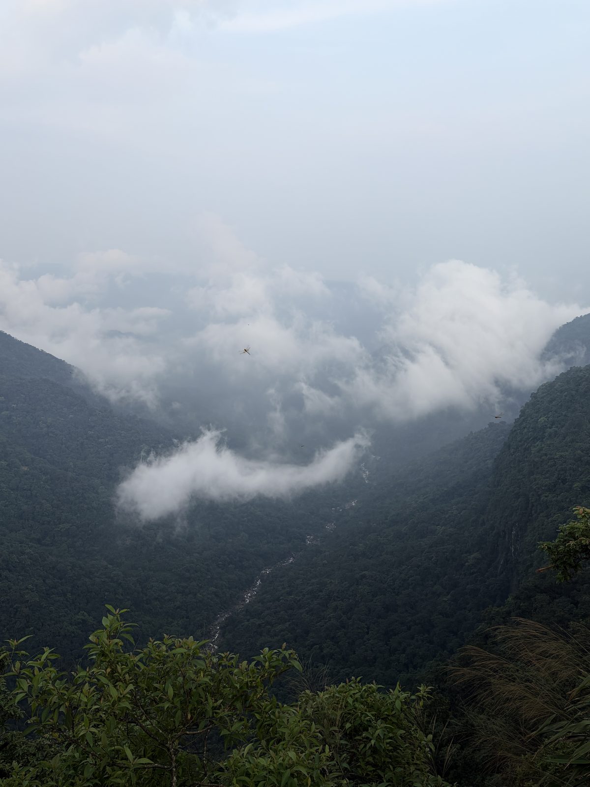 Low clouds over a green valley
